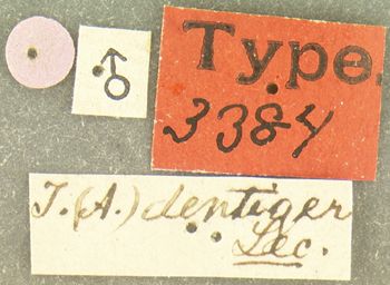 Media type: image;   Entomology 3384 Aspect: labels